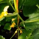 IMG_20190607_103340